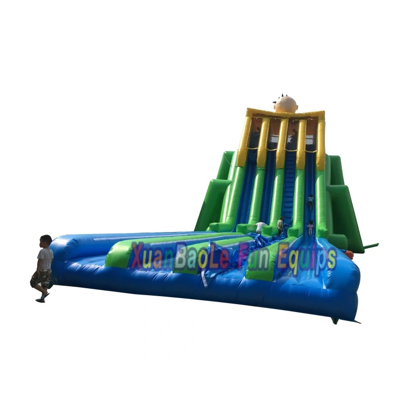 Giant Inflatable Jumbo Water Slide for Amusement Park, Inflatable Hippo Slide for Adults