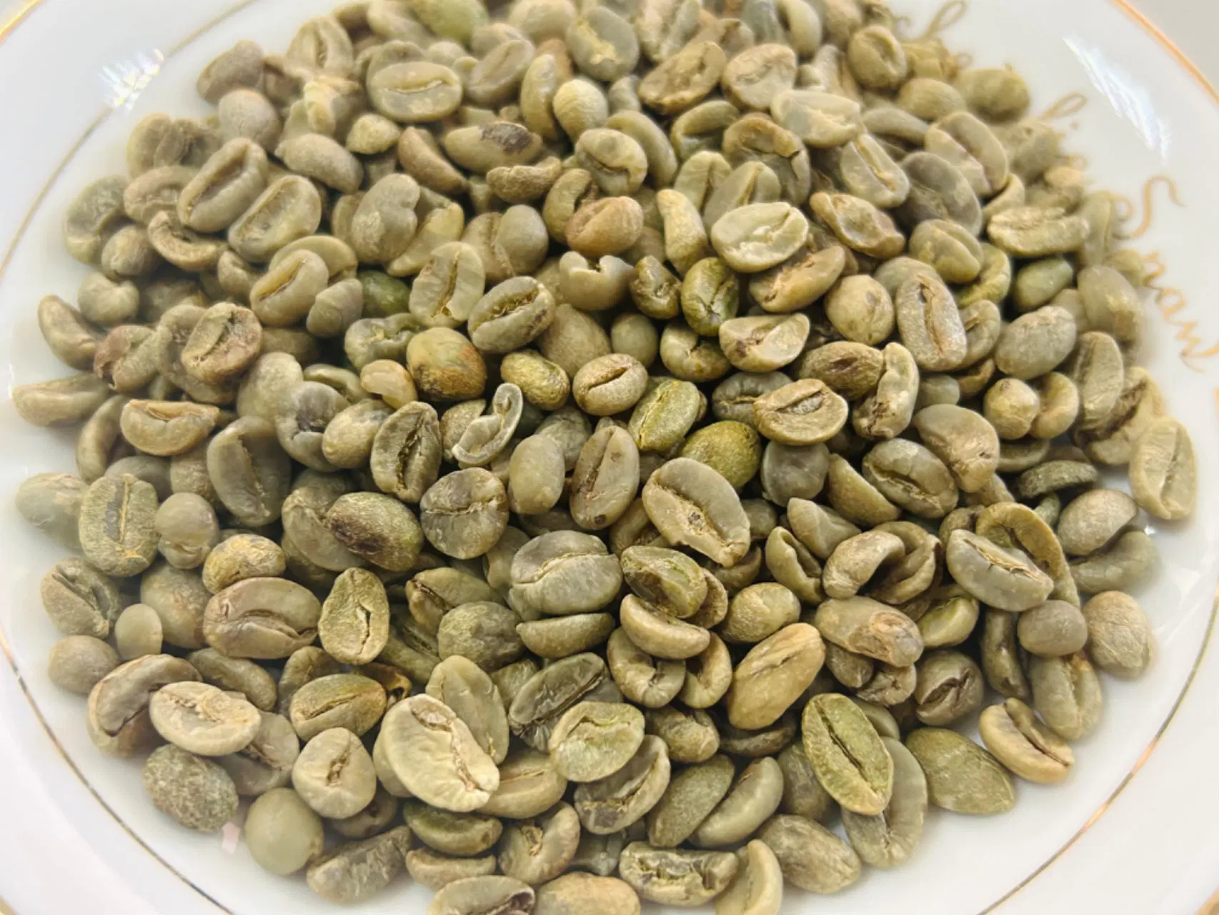 Special Arabica Coffee Bean Come From Hainan Fuwang