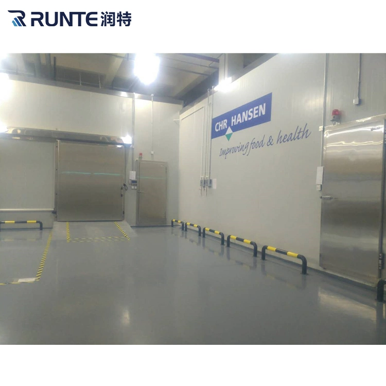 Runte Brand Condensing Units Blast Freezer -30 Degree ~+5 Degree Frozen Meat Fish Vegetables Fruit Cold Storage Room