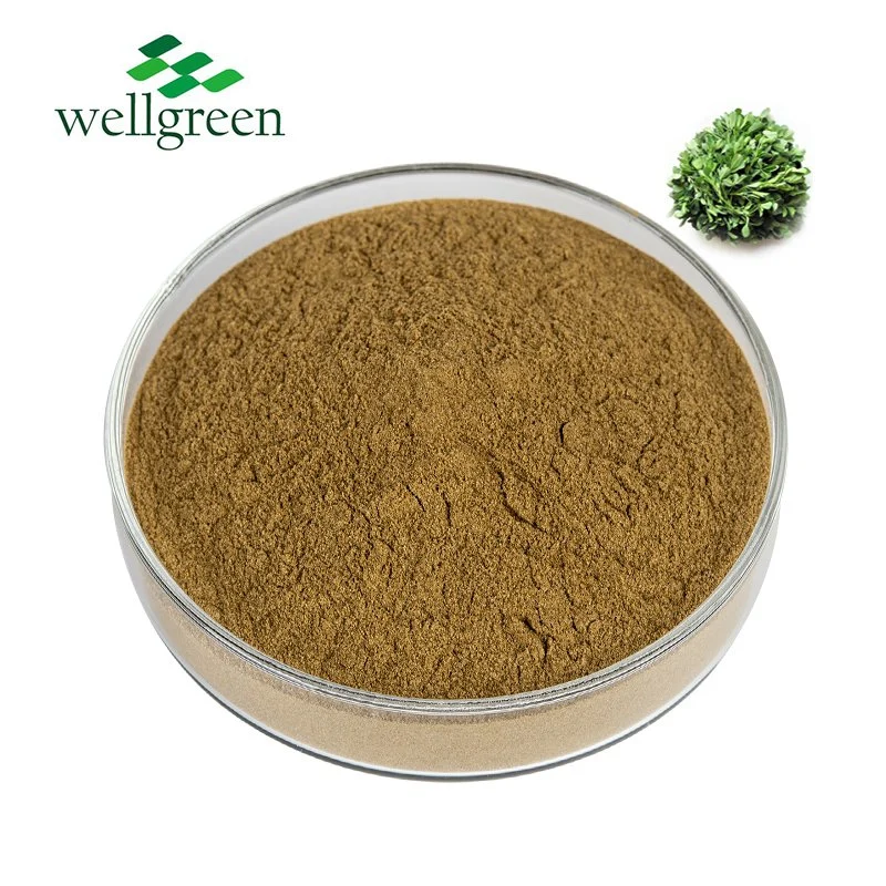 Wellgreen Food Grade Natural Organic Alfalfa Grass Extract Powder Medicago Sativa Alfalfa Meal