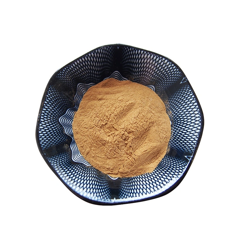 Health Medical Radix Notoginseng Extract Notoginsenoside 5% - 40% HPLC