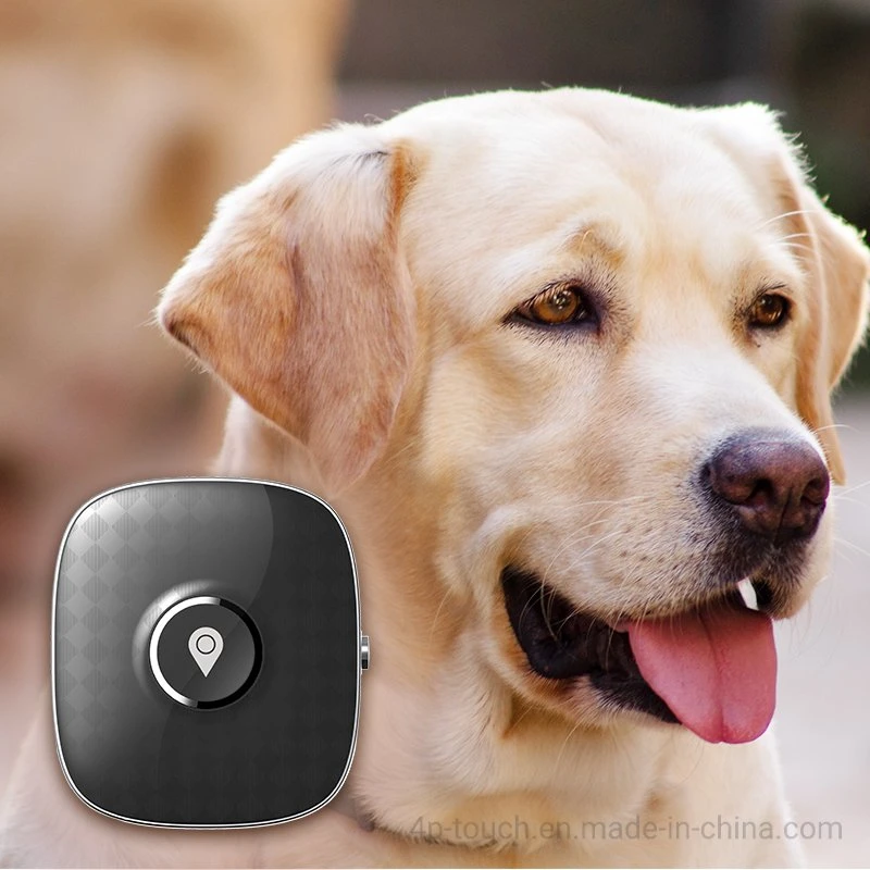 Hot 4G LTE IP67 impermeable Anti Lost Real Google Map Mini dispositivo GPS inalámbrico rastreador para mascotas Gatos con voz Vigilancia PM04C