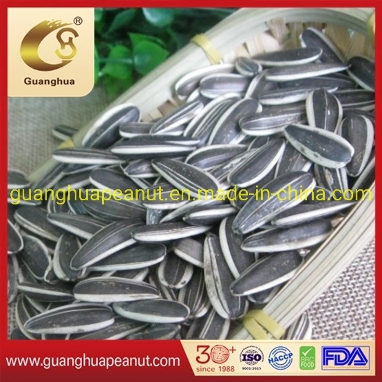 New Crop Good Quality Sunflower Seeds 5009