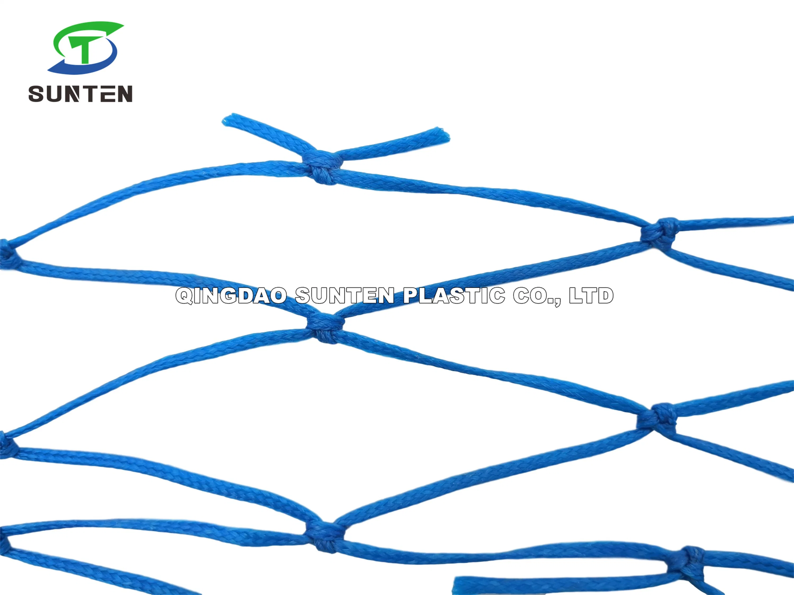 High quality/High cost performance Blue PE Cargo/Fall Arrest/Safety Catch/Cargo Climbing/Plant Plastic Mesh Net in Playground, Ski Resort, Agriculture, Garden.