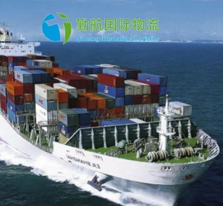 Shenzhen Ocean Shipping Agents Logistica DDP DHL/UPS/FedEx Express Sea Freight to Saudi Arabia