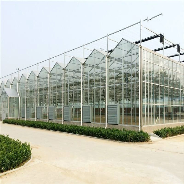 Glass Film Ecological Greenhouse with Hydroponic Aeroponic Cultivation/ Seedbed for Cherry Cucumber Potato Zucchini