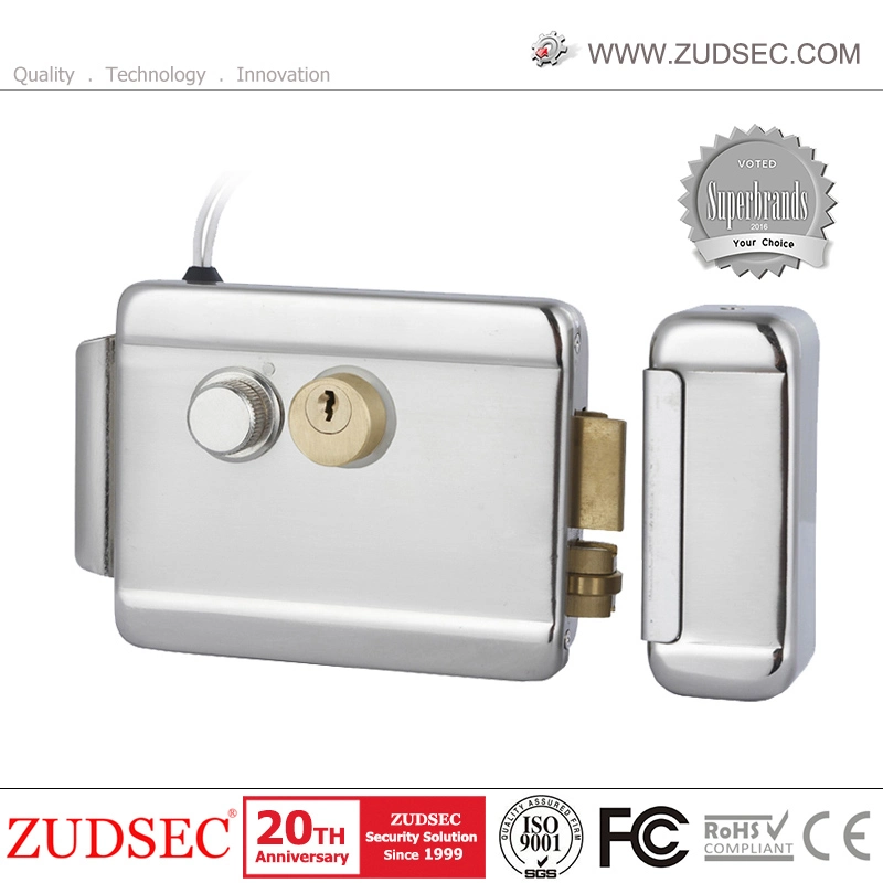 Electric Lock Smart Lock Solenoid Lock DC12V/24V