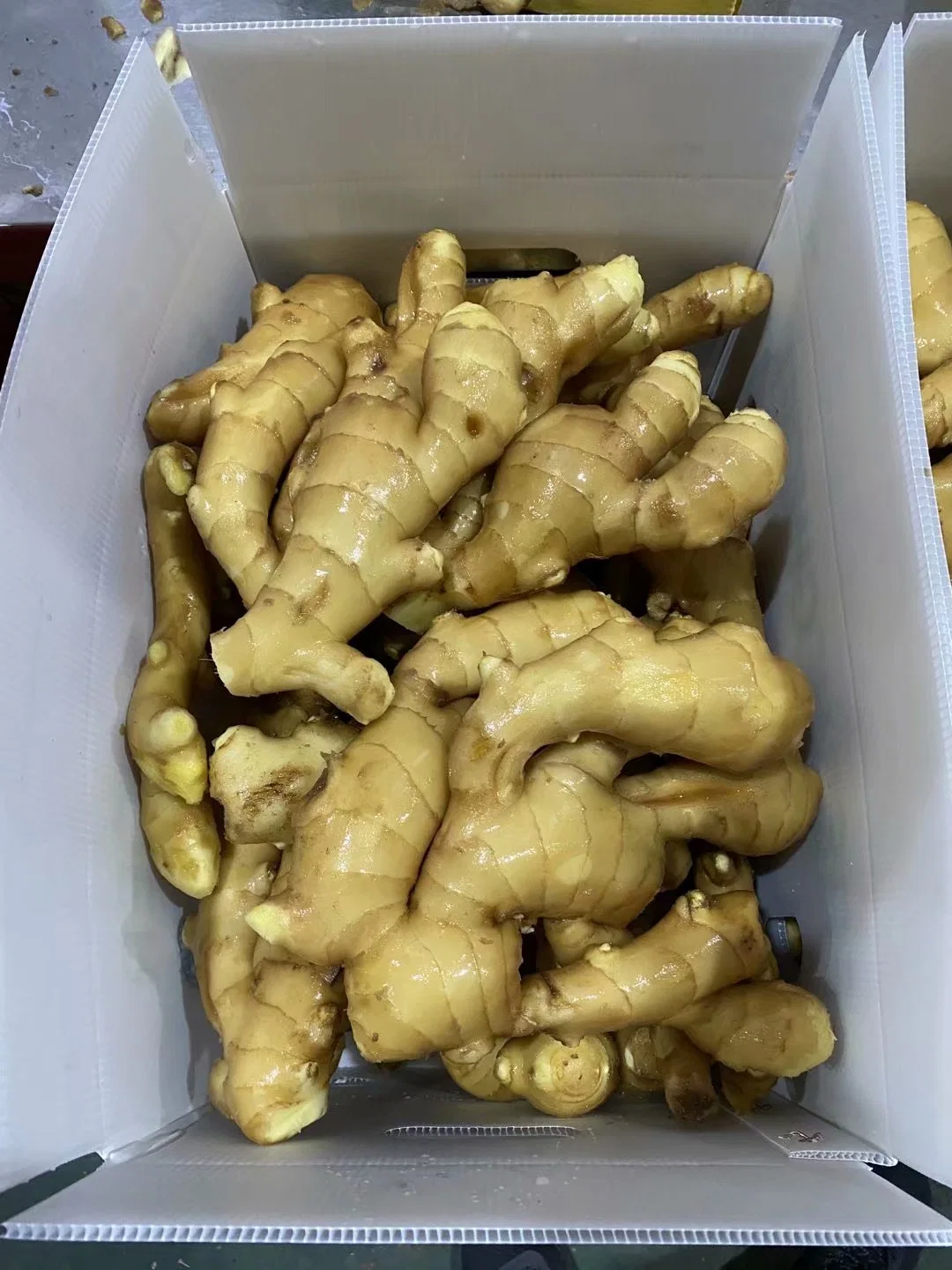 Fresh Ginger for European Market