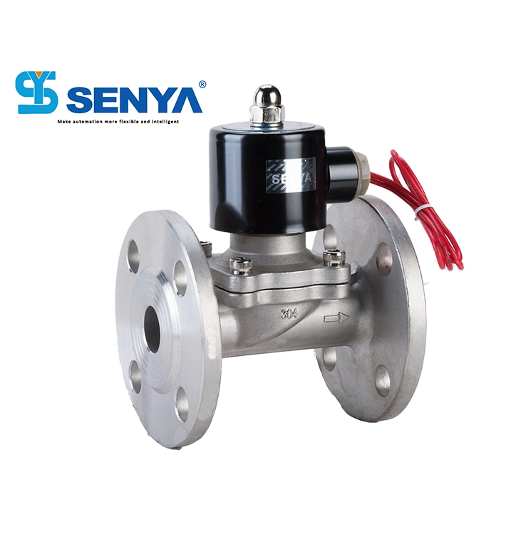 Good High-Temperature Performance 2/2 Ways Stainless Steel Solenoid Valve with Compact