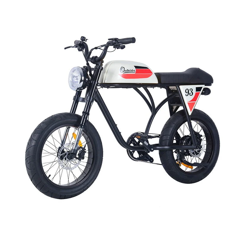 دراجة كهربائية ليثيوم بقوة 350 واط موديل Ebike 36V 13ah مع CE/En15194 الدراجة الكهربائية