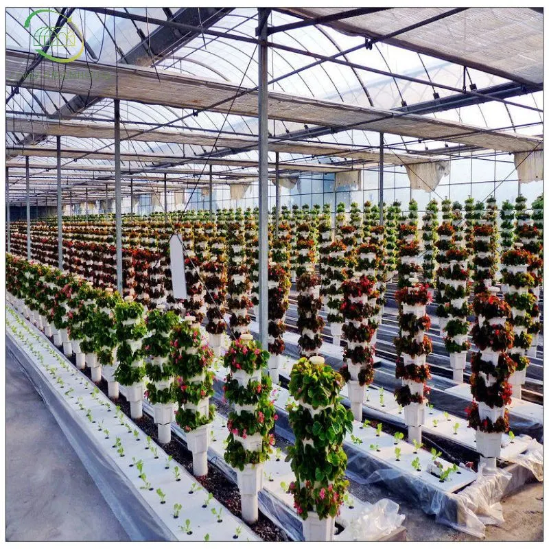 Farm Vegetable/Fruit Green House Use Soilless Cultivate Nft Hydroponics System