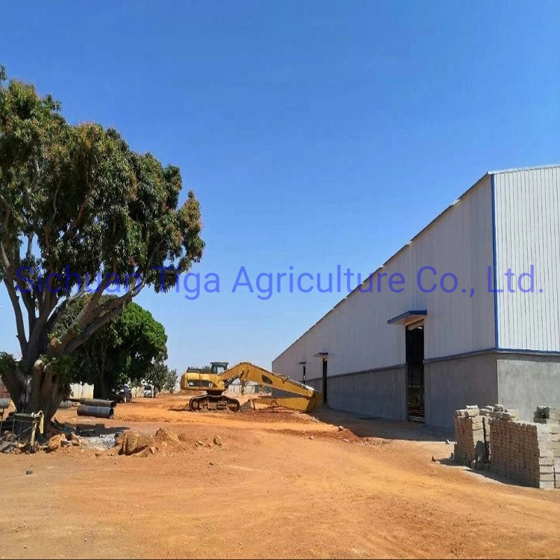 Pre-Engineered Long Span Industrial Construction Building Prefabaricated Steel Structure Warehouse