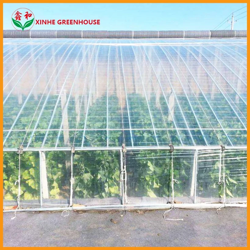 Tunnel Multi-Span Plastic Film Greenhouses Hydroponic Systems