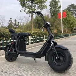 Electric Dirt Bike Bicycle Electric Motorcycle