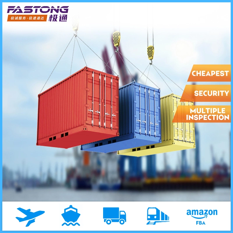 China Freight Forwarder Sea Shipping From China to India