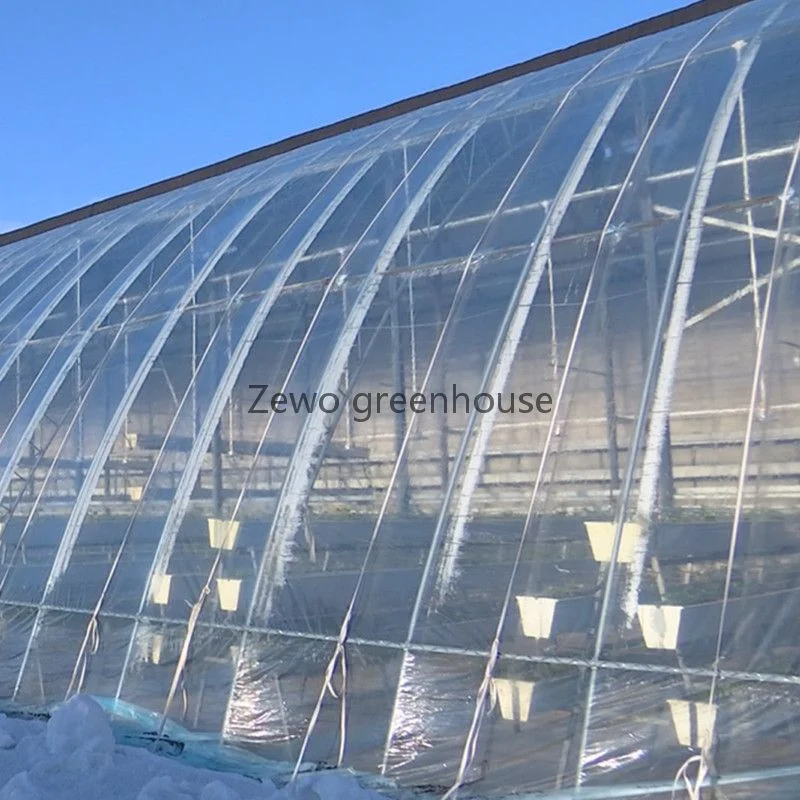 PE EVA Film Double Layer Waterproof Sunshade Garden Greenhouse