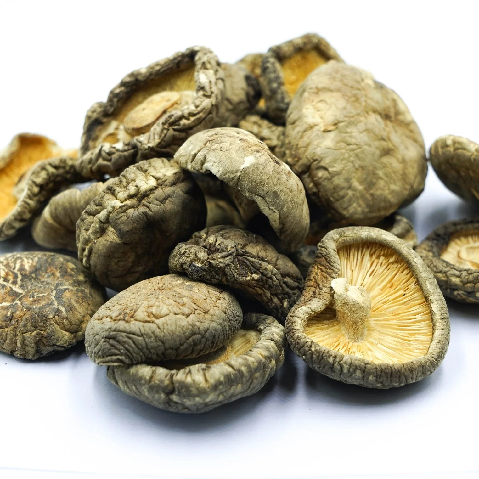 New Crop Dried Shiitake Mushroom