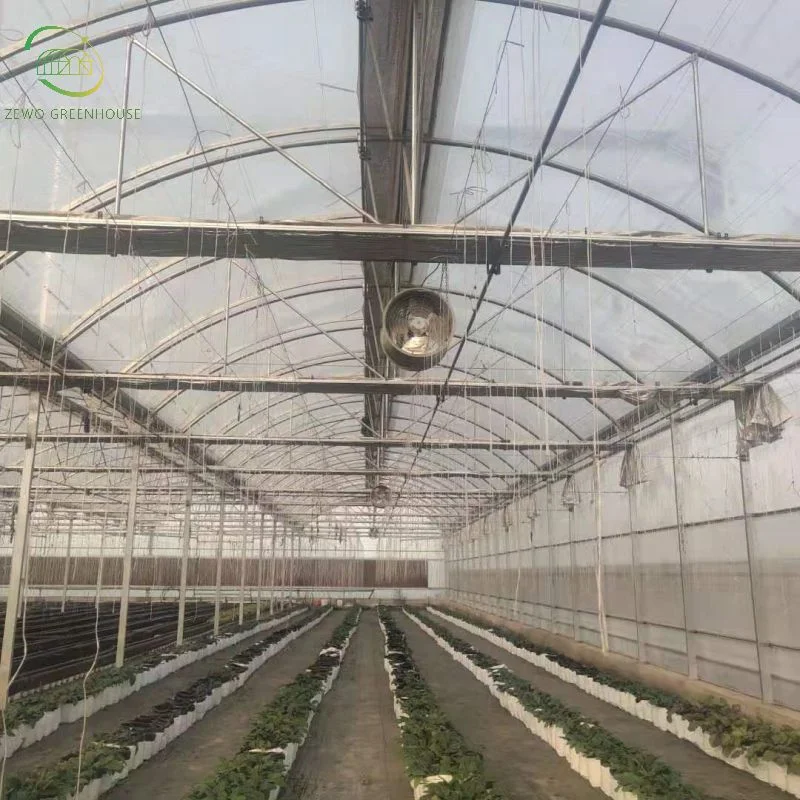 Wall Mounted Green Houses Cooling Equipments/Cooling System with Exhaust Fan for Agriculture