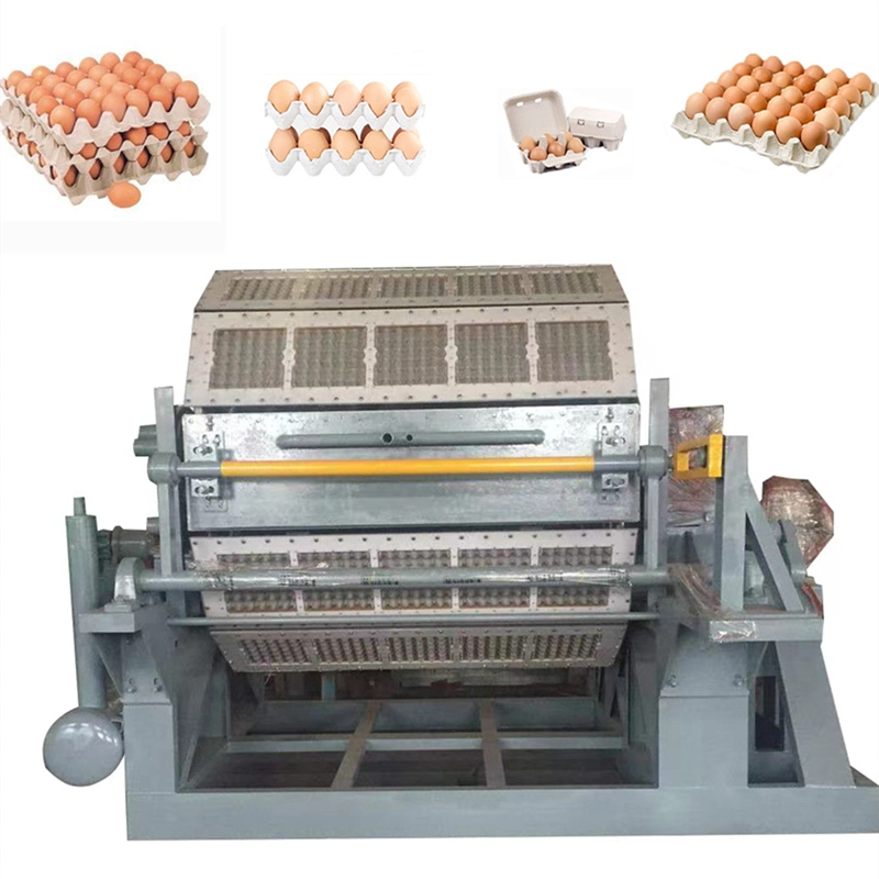 Metal multi-capa de pasta de papel bandeja de huevos de moldeo de pelo caja de cartón de embalaje de molde que hace la máquina Sudáfrica