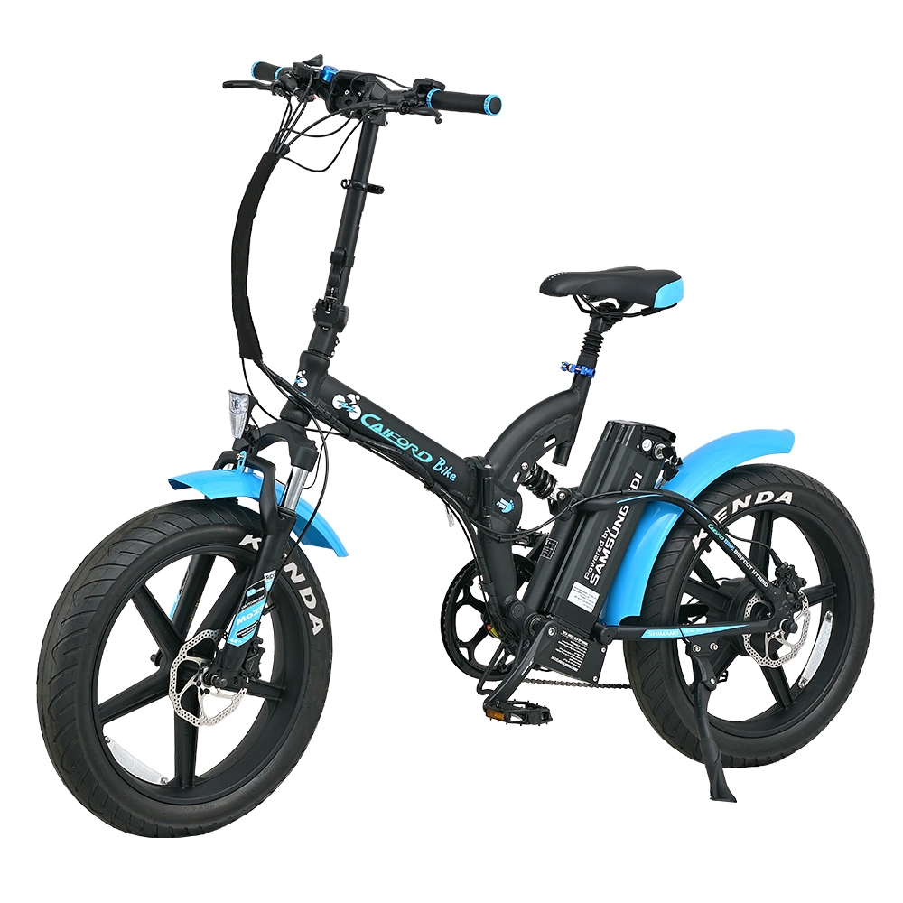 22inch 48V350W, 500W Li-ion Electric Snow Bike with Hydraulic Brakes and LCD-Display Rear Motor