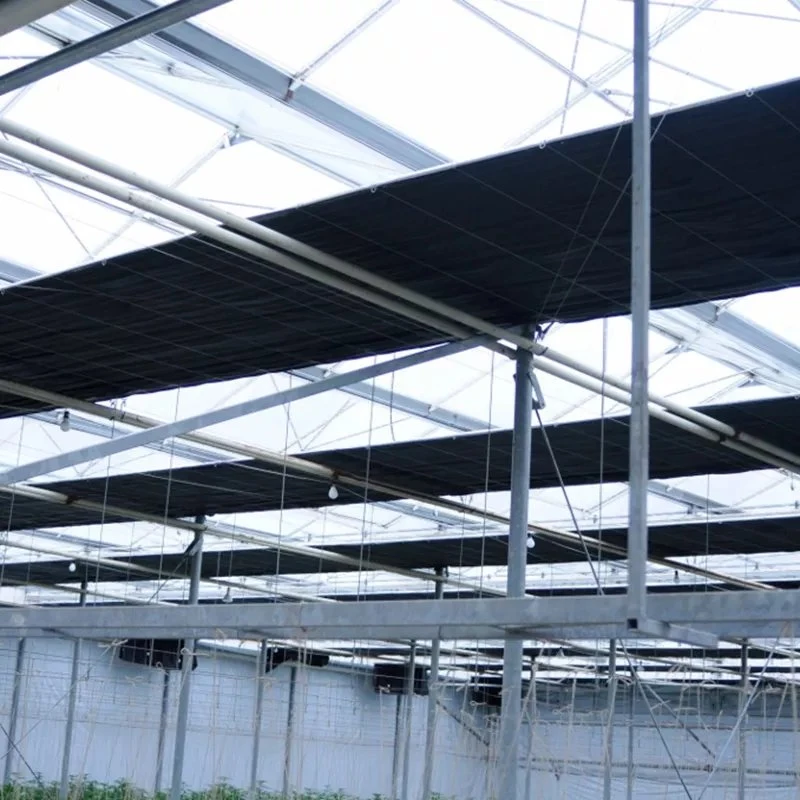 Light Deprivation Tunnel Plastic Plant Aeroponics System Single Span Greenhouse