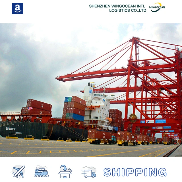 Fba DDP Shipping Serive From China to USA by Wingocean Logistics