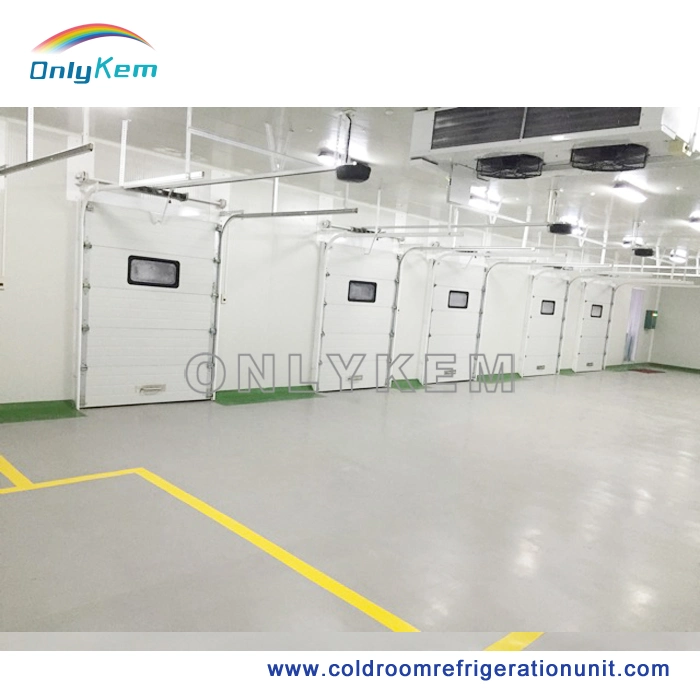 Manufacturer Frozen Fish Storage Freezer Cold Room in Bulgaria