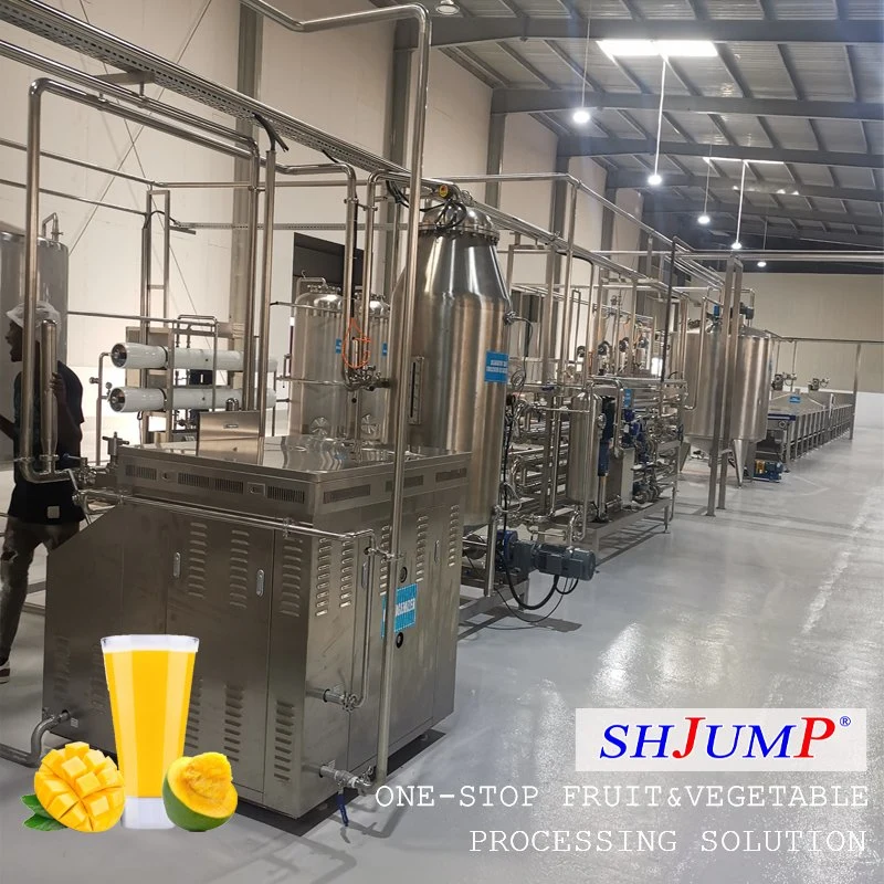 1ton/Hora Mango Puree línea de procesamiento máquina solución económica para el arranque Negocios