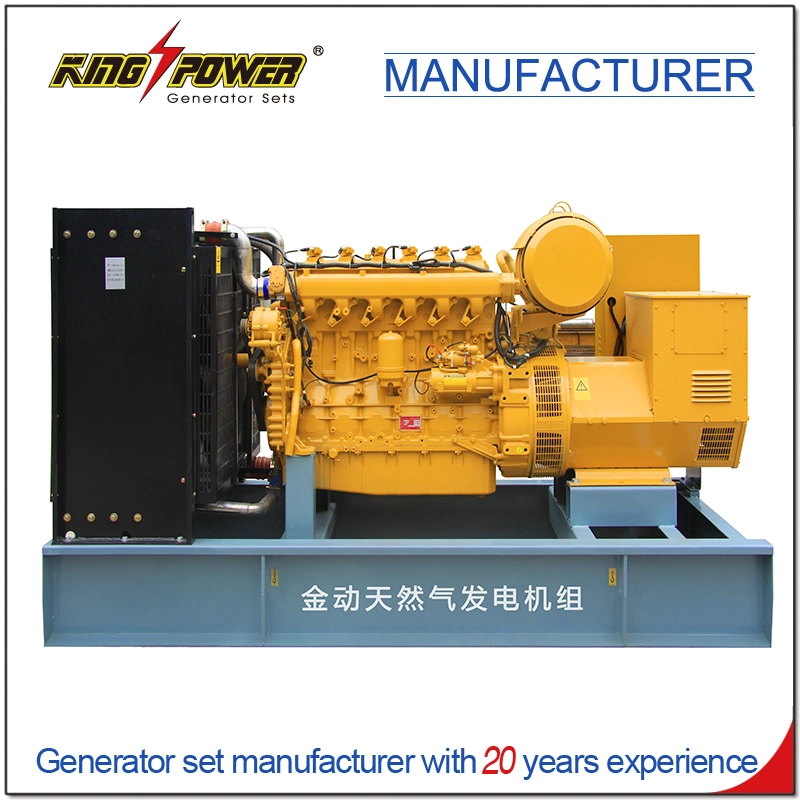 Professional Supplier of 7*24 Hours 20kw Open Silent Natural Gas Biogas CNG LNG LPG Generator