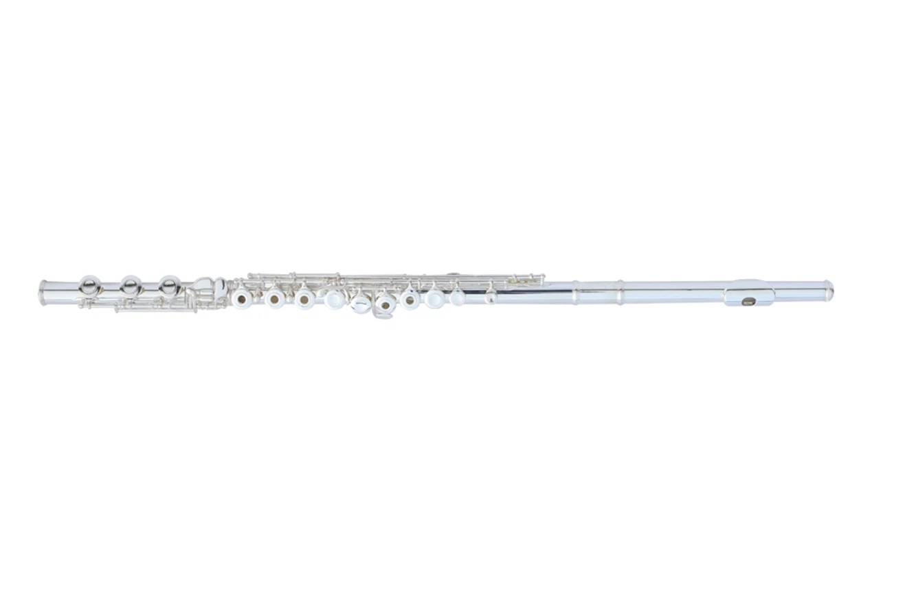 Wholesale/Supplier Flute /Manufacture Cheap Price /Good Supplier