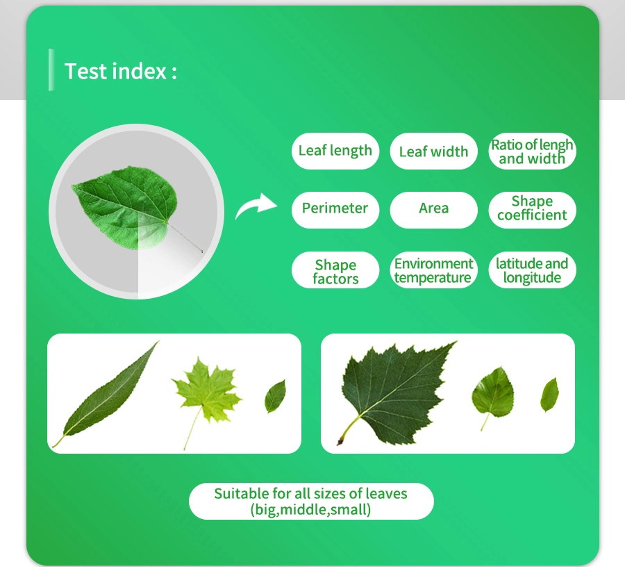 Reliable Simple Design Fast Test Hand-Held Digital Leaf Area Meter with Good Performance