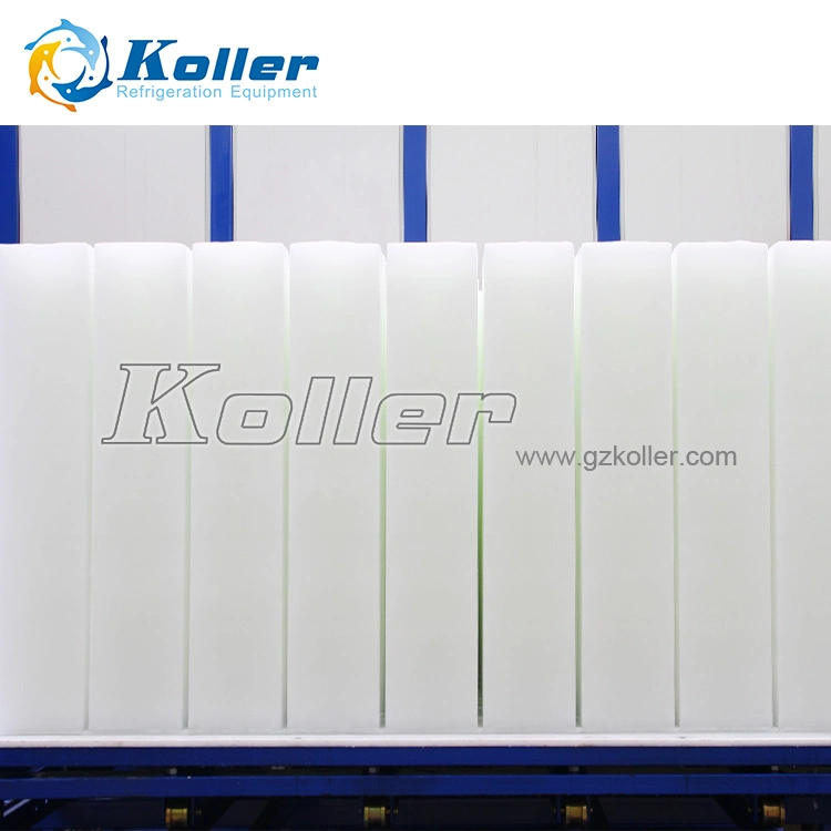 Dk100 Koller Best Price 10ton Ice Block Machine in Africa for Fishery