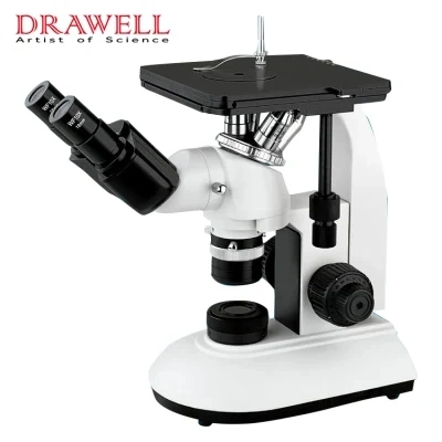 Bk-Pol-Tr High Precision Polarizing Microscope