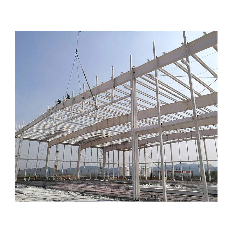 Light Steel Structure Construction Project House Warehouse Building