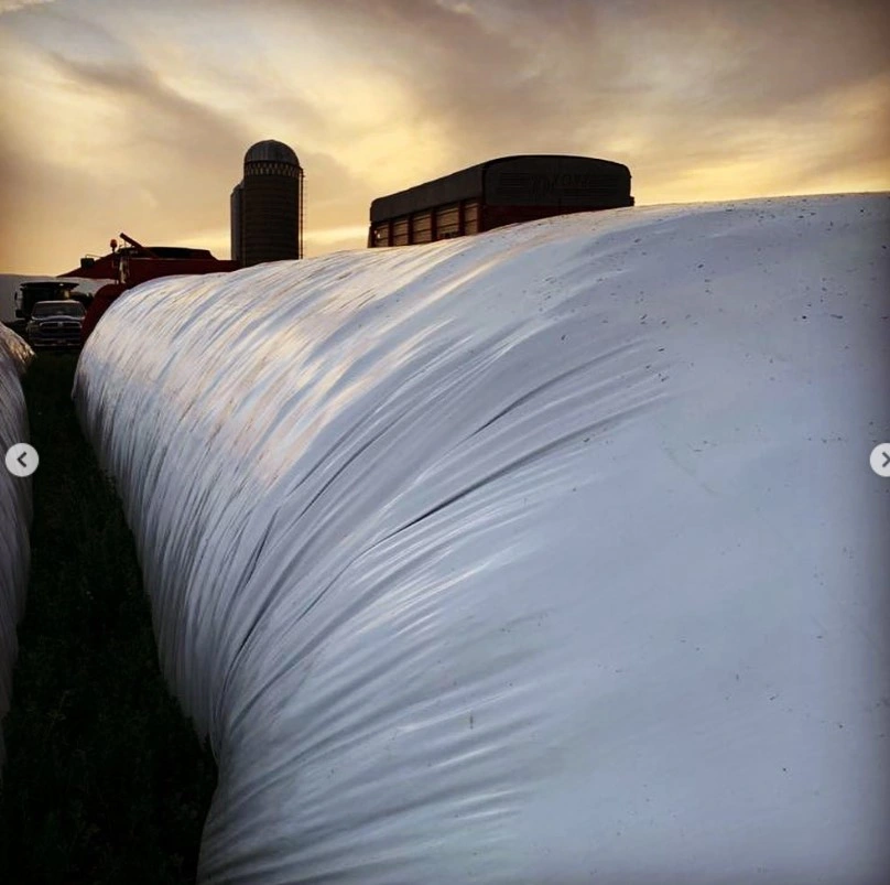UV Resistance Farm Use Large Grain Silo Bags, Silage Bags Agriculture Forage Storage Bag