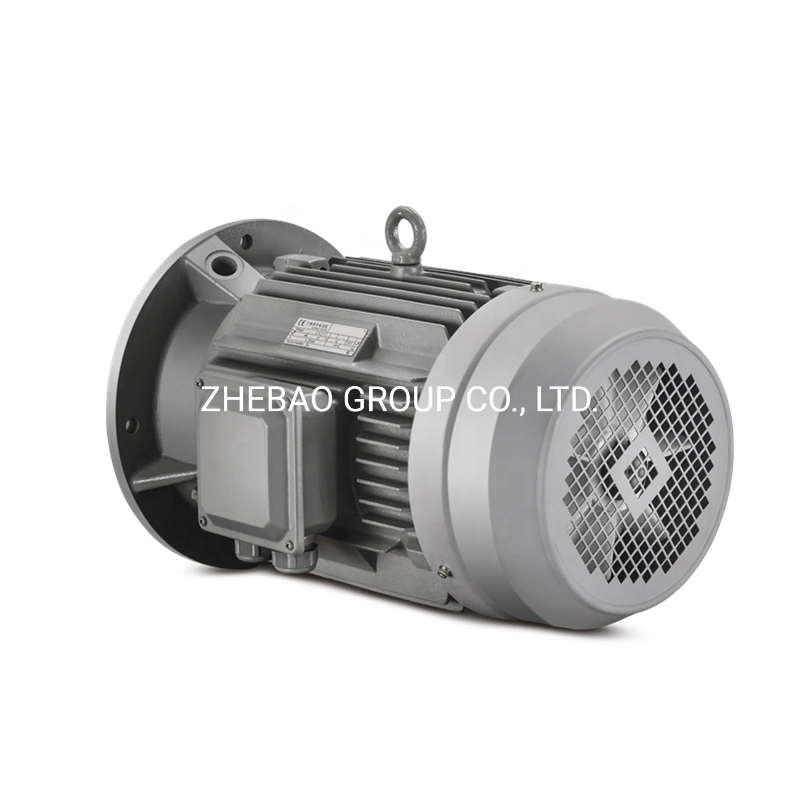 AC Induction Electric Motor IEC European Standard