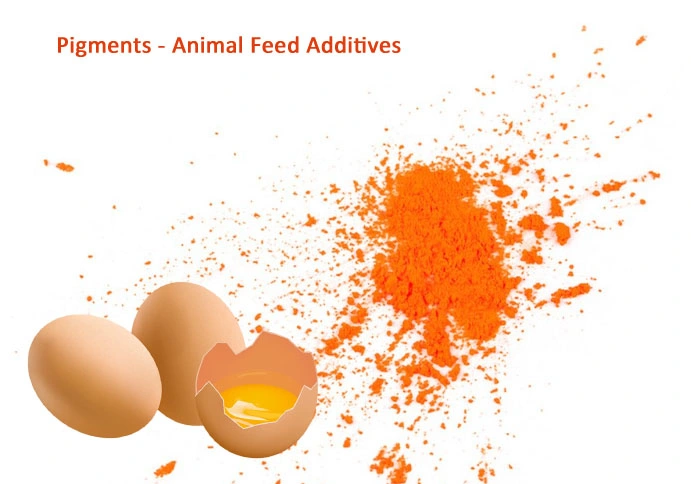 Canthaxanthine de qualité alimentaire pureté de 10% pour la pigmentation des jaunes d'œufs, de la peau de poulet à griller et du poisson de saumon