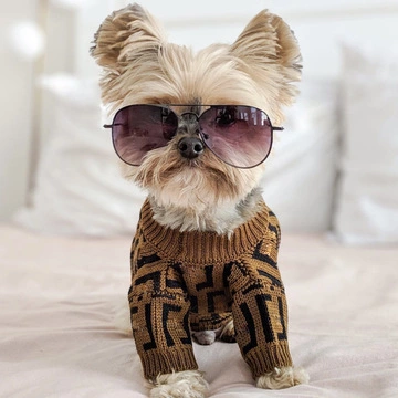 Hot Selling Luxury Designers imperméable PET Dogs vêtements