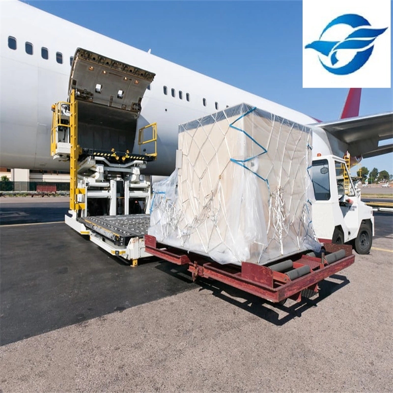 Professional Air Freight Forwarder Shipping to Serbia Logistics Service