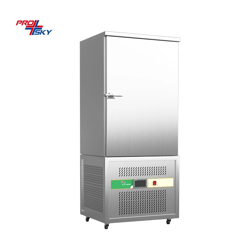 Industrial -40 Home Flash Freezer with Imported Danfoss Expansion Valve for Pizza