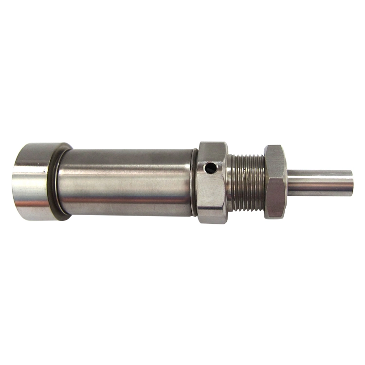 Densen Customized CNC Micro Small Stainless Steel Part Compressed Pneumatic ISO Mini Air Cylinder