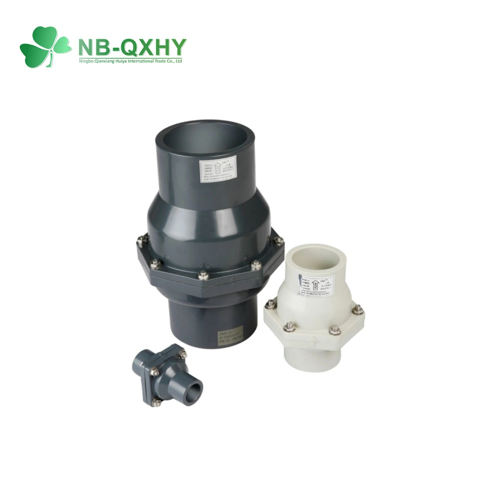 China Manufacturer High quality/High cost performance  DIN ANSI JIS Standard Plastic Check Valve