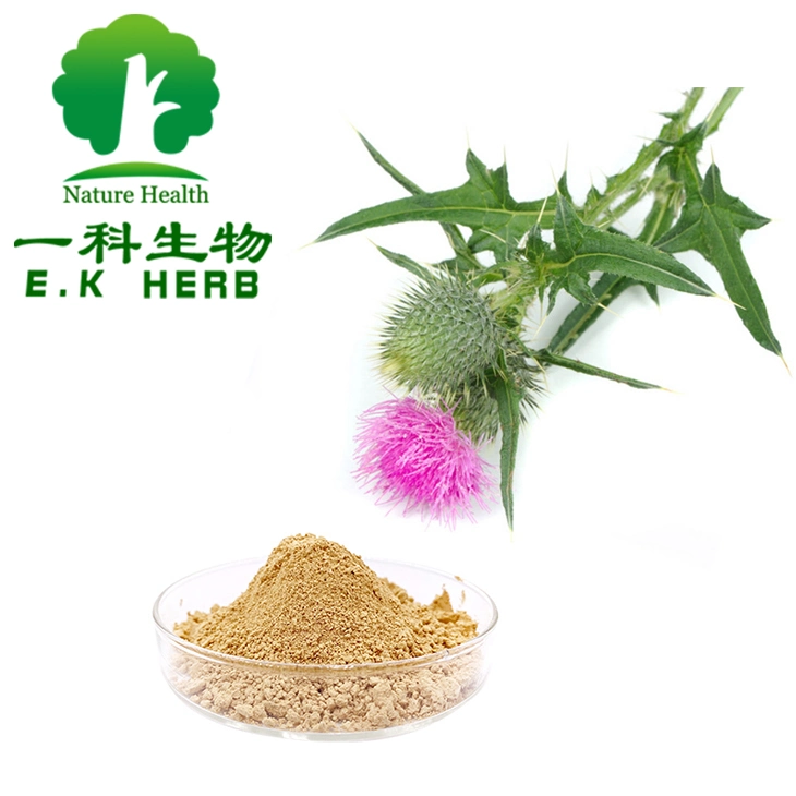 E. K Kosher hierba Certificado Halal Food Grade el 80% de la silimarina 30% Silybin Isosilybin extracto de cardo mariano Echinacea Purpurea ácido Chicoric Extracto de Alcachofa