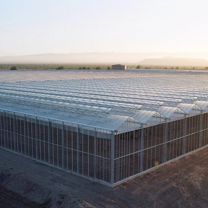 Advanced Agricultural Glass Green House with Automated Control System