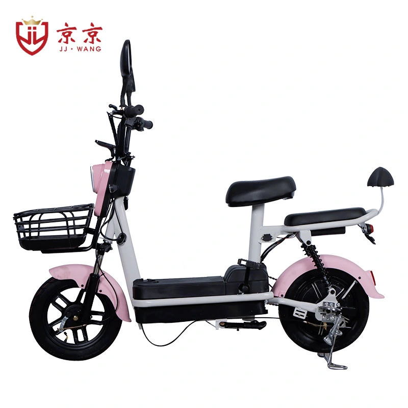 Two Wheels Electric Adult Scooter E Dirt Bike Cargo Scooter