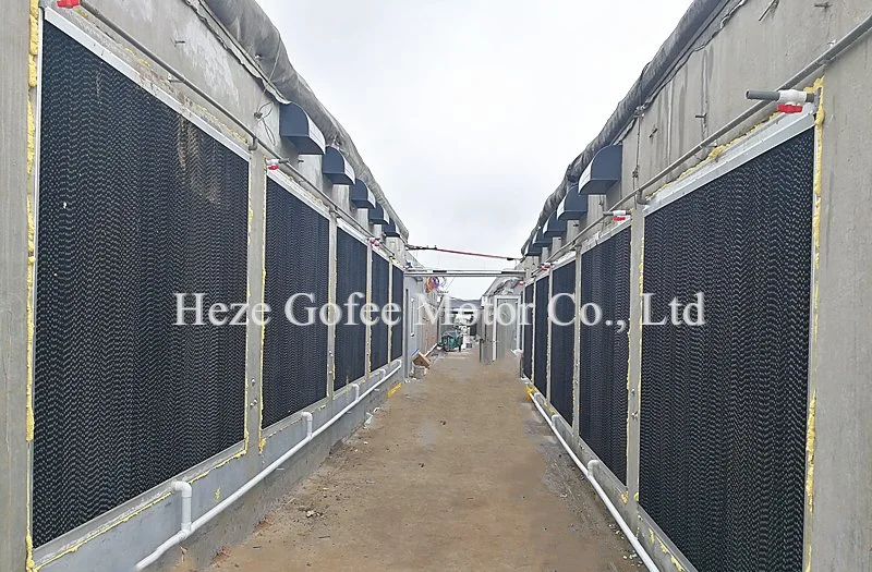 Livestock Farm Greenhouse Evaporative Cooling Pad