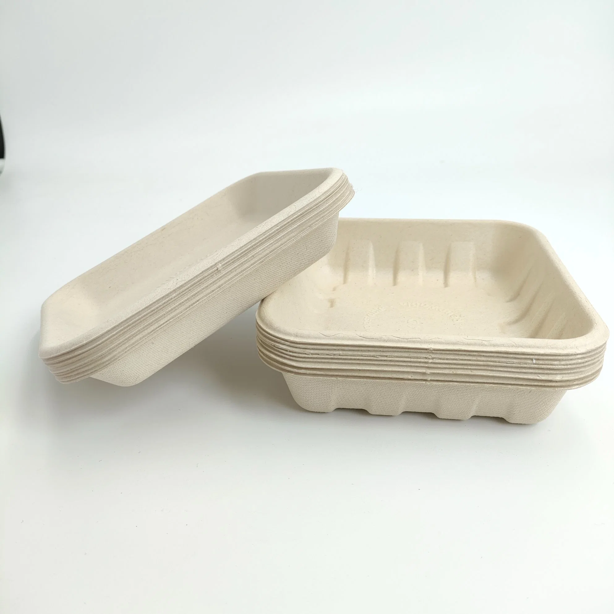 Sugarcane Bagasse Fried Chicken Custom Food Box Packaging Sushi Square Tray with Lid