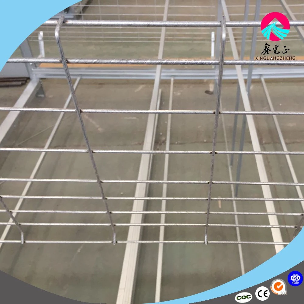 Automatic Galvanized Relible Broiler Cage for Poultry House