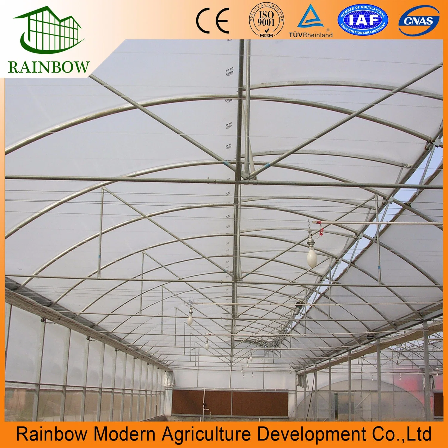 Modern Rainbow Design Multi-Span Po Film Greenhouse