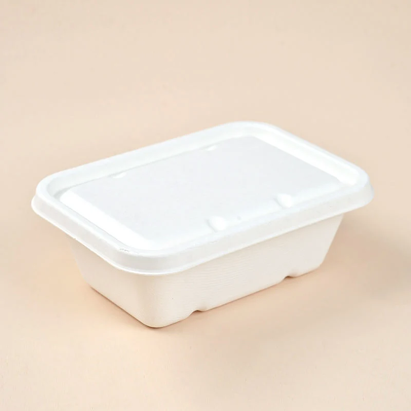 750 ml papel desechable Takeaway biodegradable Caja de bagazo de caña de azúcar